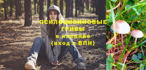 мдпв Абаза