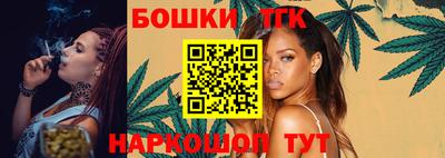 индика Сланцы