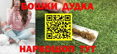 индика Сланцы