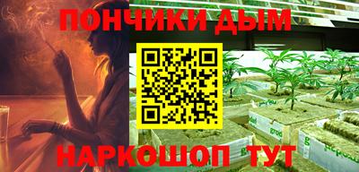 индика Сланцы