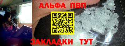 индика Сланцы