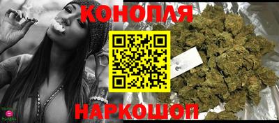 индика Сланцы