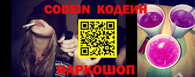 индика Сланцы