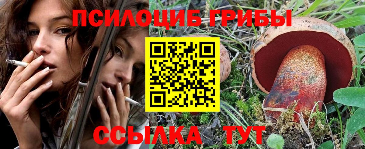 Галлюциногенные грибы мухоморы  Псилоцибиновые грибы Magic Shrooms  наркошоп  Топки  Вход с VPN 