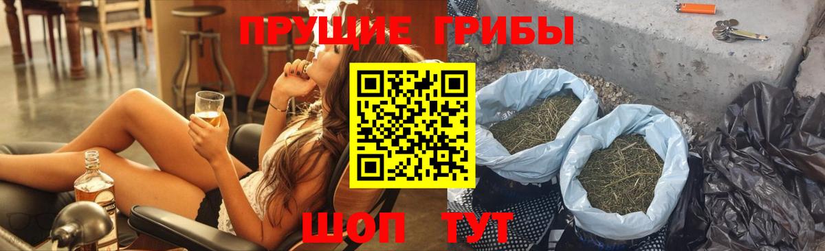 Галлюциногенные грибы GOLDEN TEACHER Топки