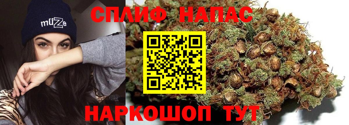 Бошки Шишки план Топки